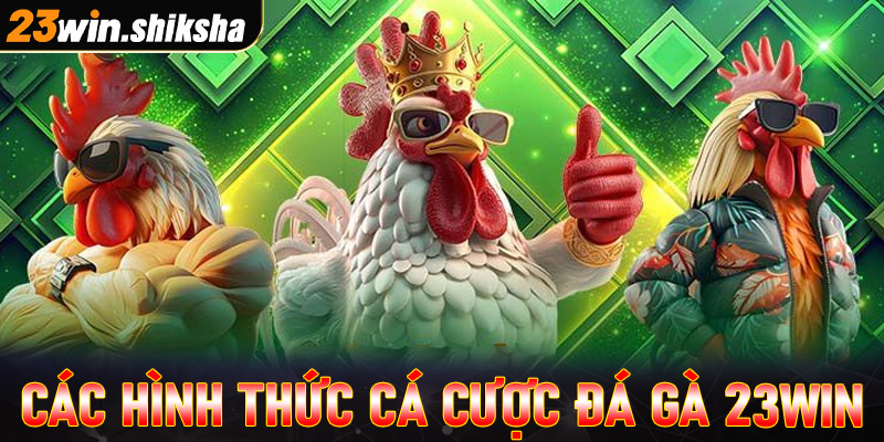 Những hình thức cá cược đá gà 23win hot nhất thị trường Việt Nam